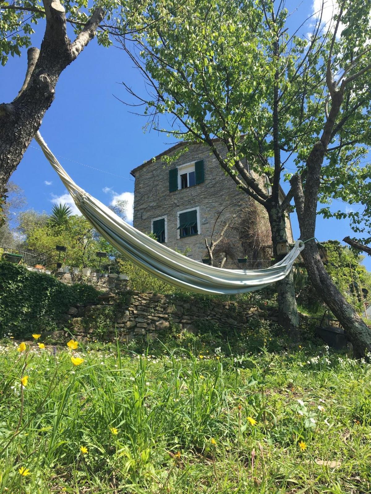 Rustico Tra Gli Ulivi Holiday home *